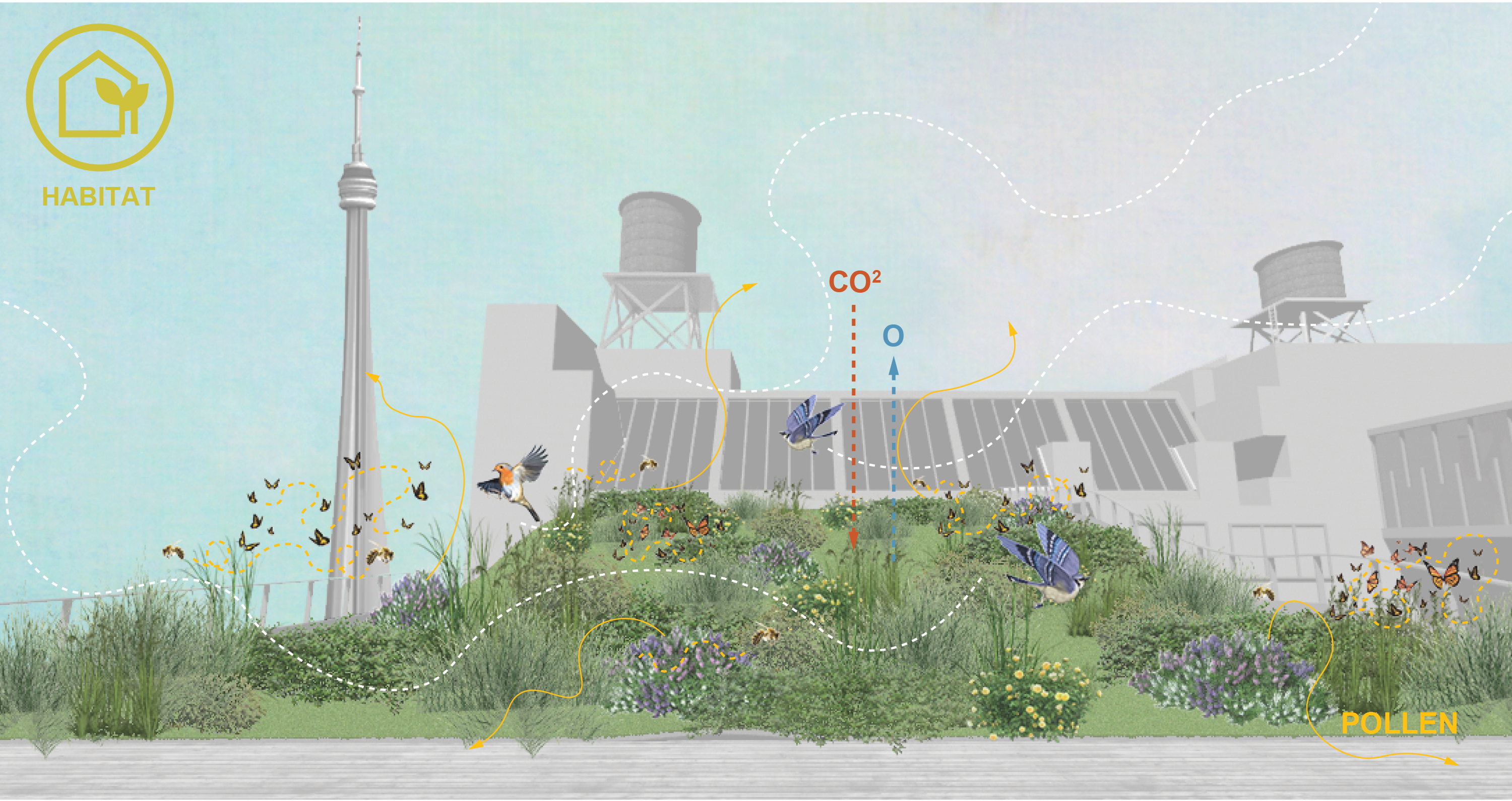 Healthy Cities: Sustainably Adapting the Dominion Foundry Complex
